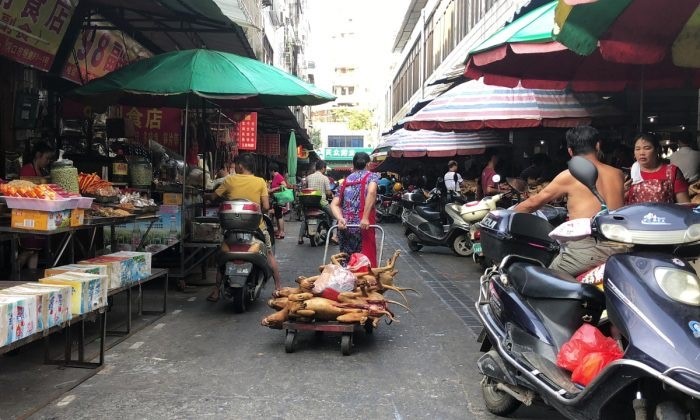 Mulher arrastando um carrinho com cães cozidos em um mercado na China (Pak Yiu / AFP / Getty Images